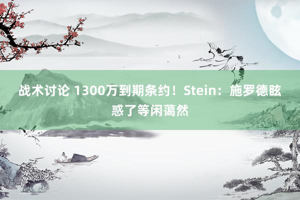 战术讨论 1300万到期条约！Stein：施罗德眩惑了等闲蔼然