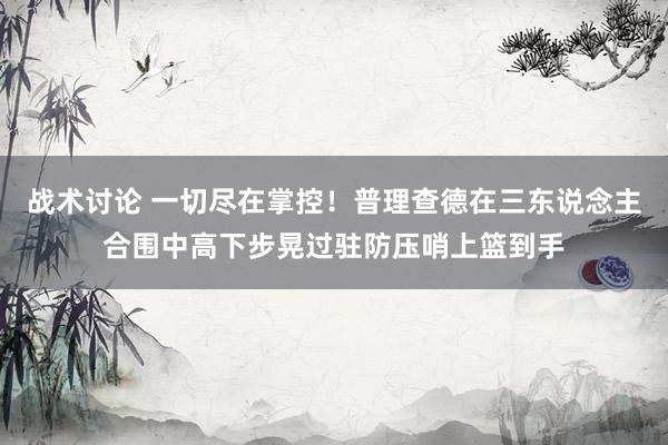 战术讨论 一切尽在掌控！普理查德在三东说念主合围中高下步晃过驻防压哨上篮到手